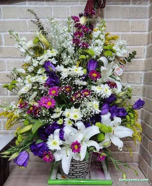 Rize Orkide Çiçekcilik