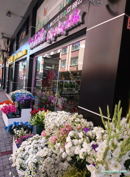 Rize Orkide Çiçekcilik