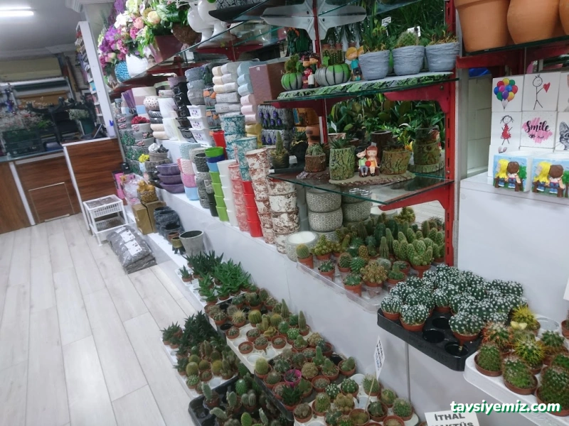 Rize Orkide Çiçekcilik