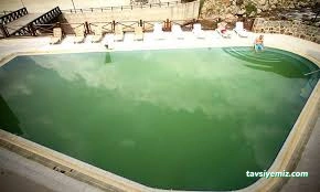 Rize Ridos Thermal Hotel & Spa