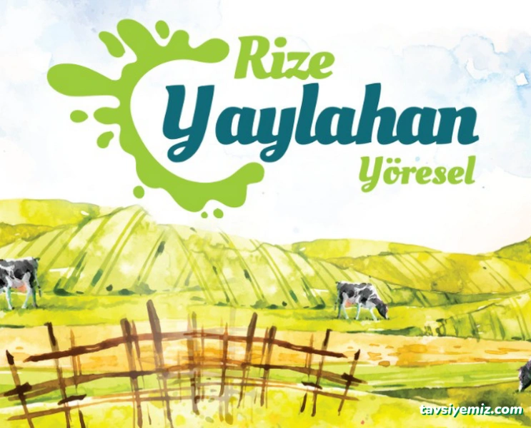 Rize Yaylahan Yöresel Toptan Gıda Dağıtım Ve Pazarlama