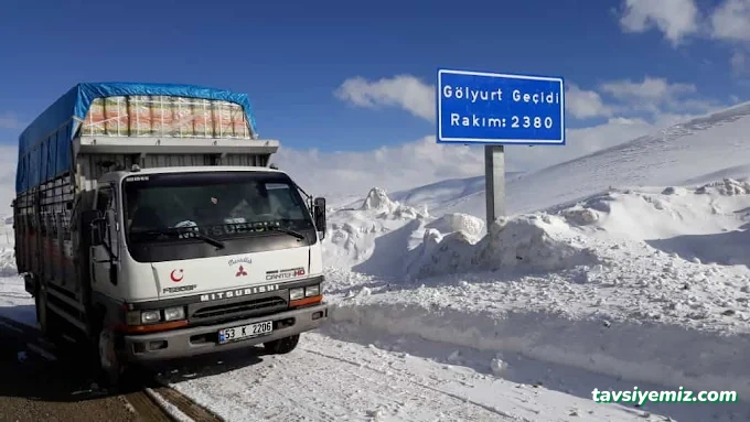 Rize Yazıcı Nakliyat