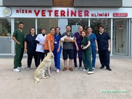 Rizem Veteriner Kliniği