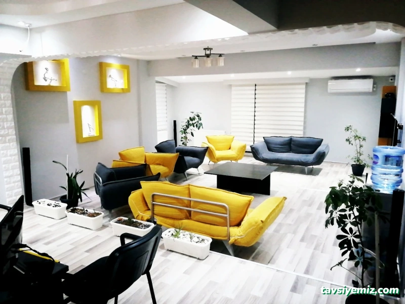 Rönesans Müzik Akademisi