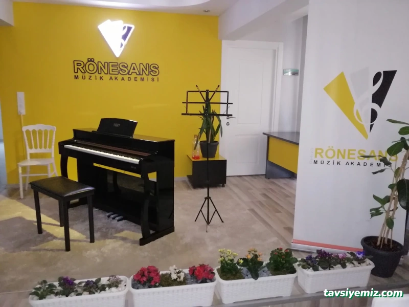 Rönesans Müzik Akademisi