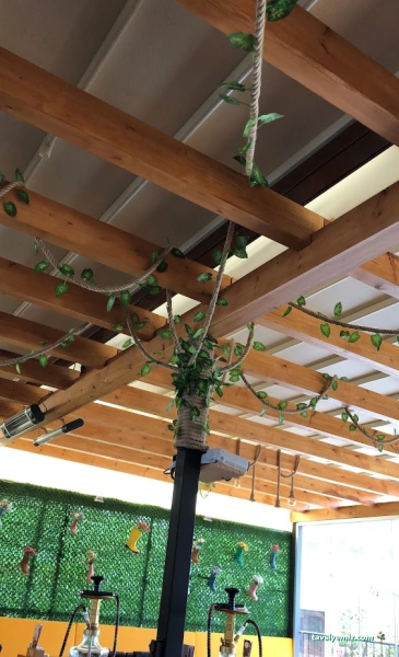 Roof Lounge (Nargile Molası)