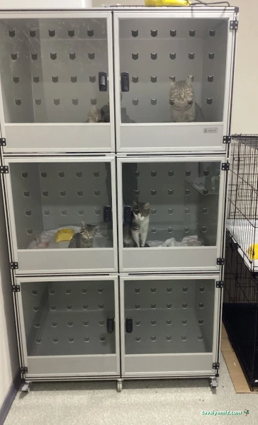 Rota Veteriner Kliniği 7/24