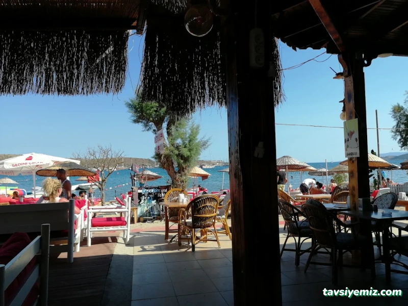 Roy's Place Karaoke Bar