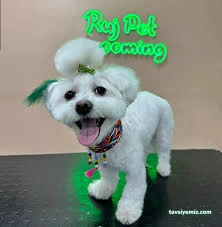 Ruj Pet Grooming