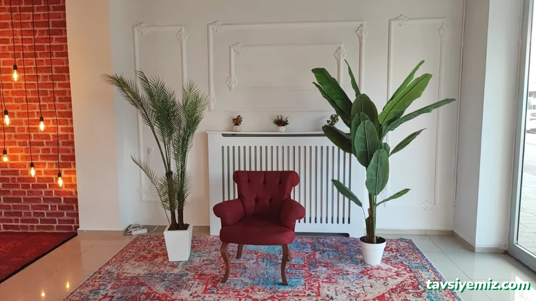 Rüyam Fotoğrafçılık