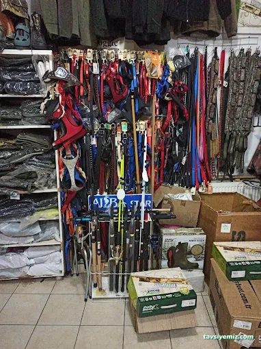 Sadun Av Proteknik & Motor