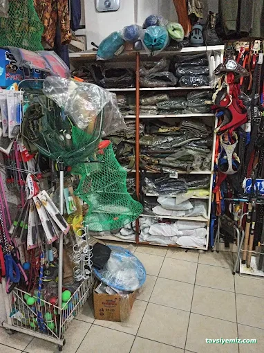 Sadun Av Proteknik & Motor