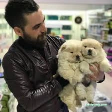 Safari Akvaryum Kongre Toptan &Parakende