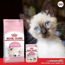 Safari Akvaryum Kongre Toptan &Parakende