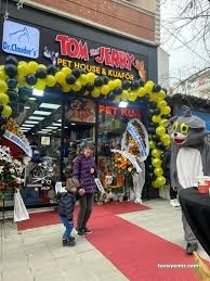 Safari Akvaryum Kongre Toptan &Parakende