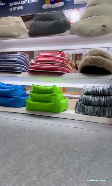 Safari Evcil Toptan Evcil Hayvan Malzemeleri