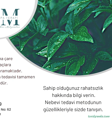 Safranbolu Kupa Terapi