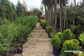 Şahinler Fidancılık Ve Peyzaj