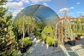 Şahinler Fidancılık Ve Peyzaj