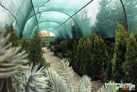 Şahinler Fidancılık Ve Peyzaj