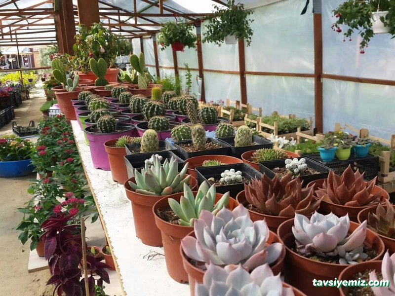 Saklı Bahçe Peyzaj