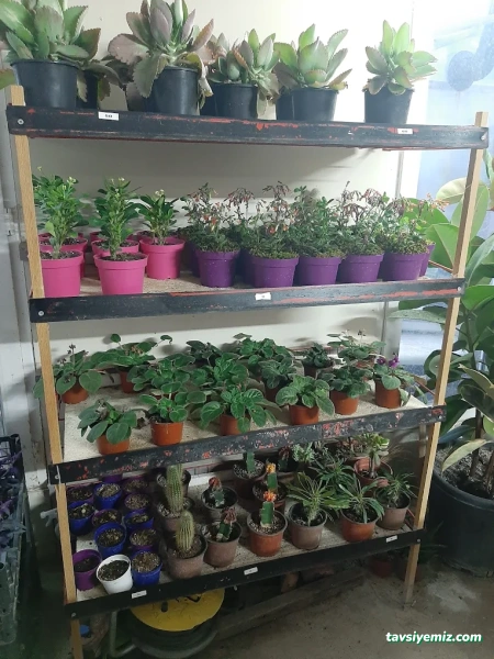 Saklı Bahçe Peyzaj