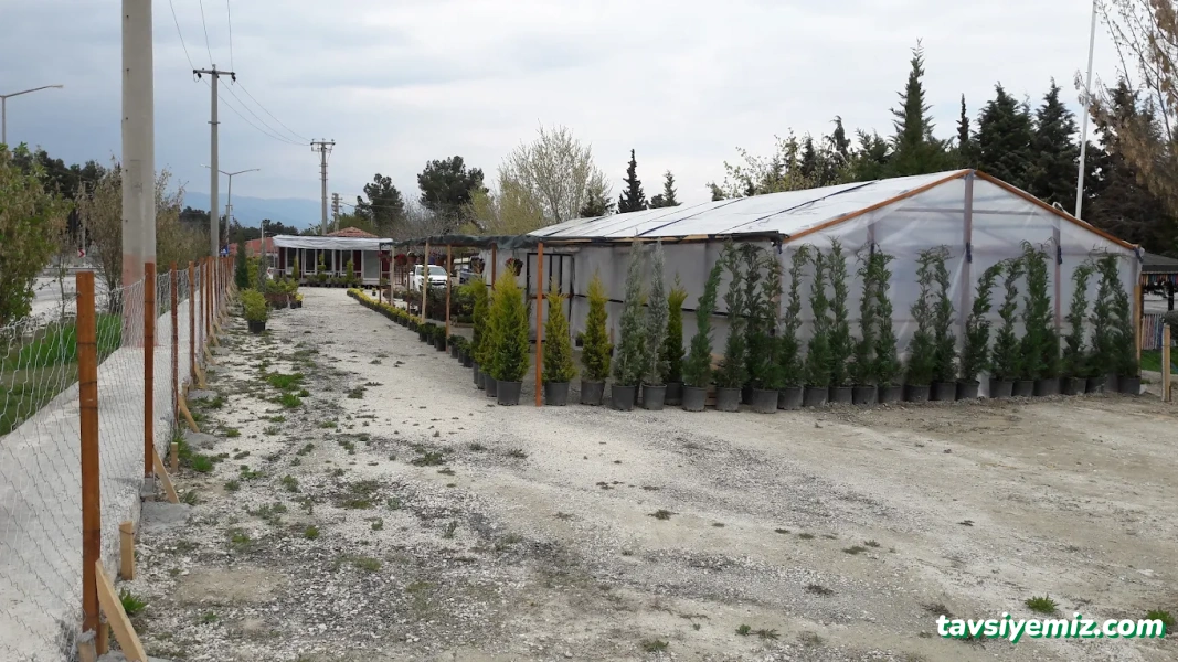 Saklı Bahçe Peyzaj