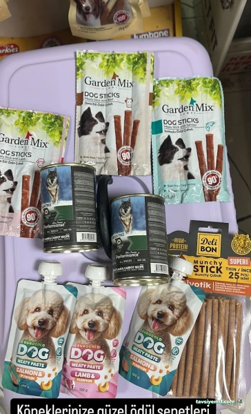 Salih Trabzon Akvaryum Pet Shop Galerisi