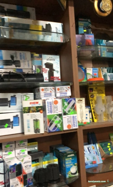 Salih Trabzon Akvaryum Pet Shop Galerisi