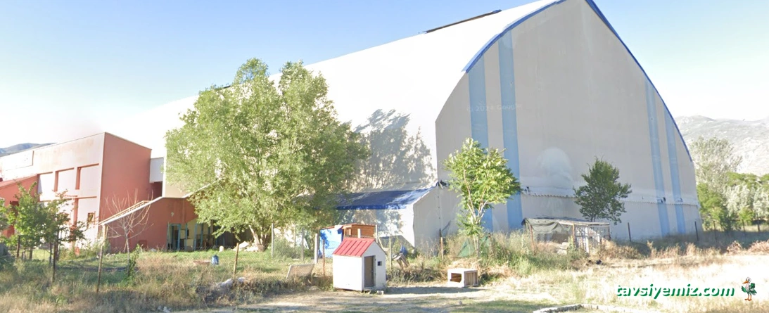 Şampiyon 24 Halısaha