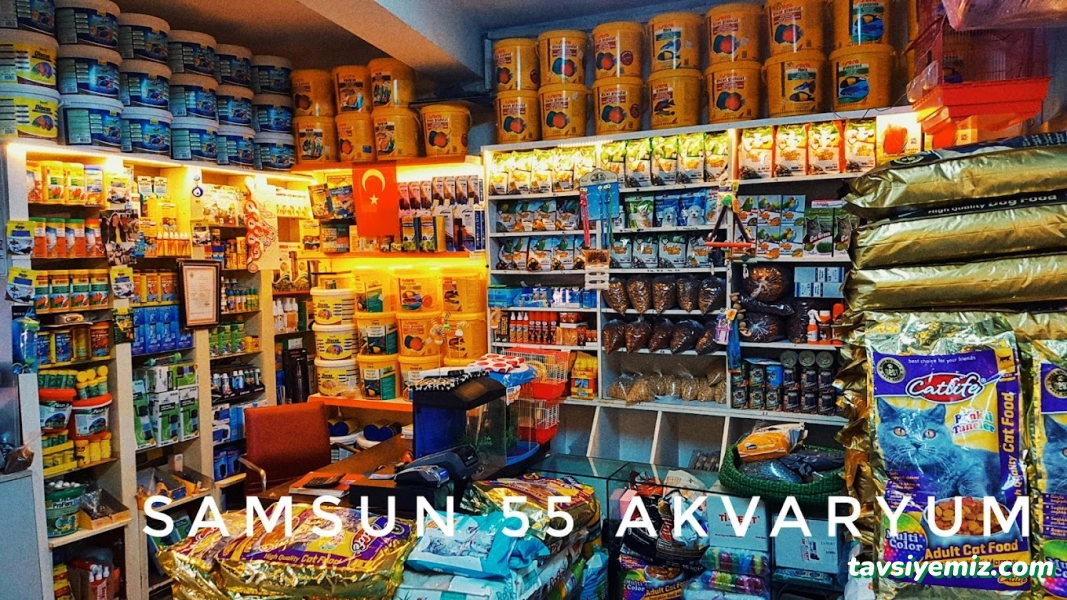 Samsun 55 Akvaryum