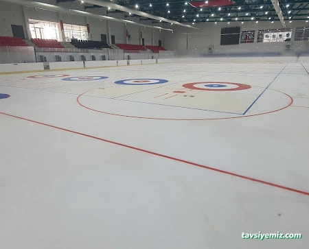 Samsun Buz Sporları Salonu