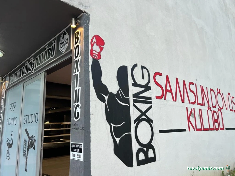 Samsun Dövüş Spor Kulübü