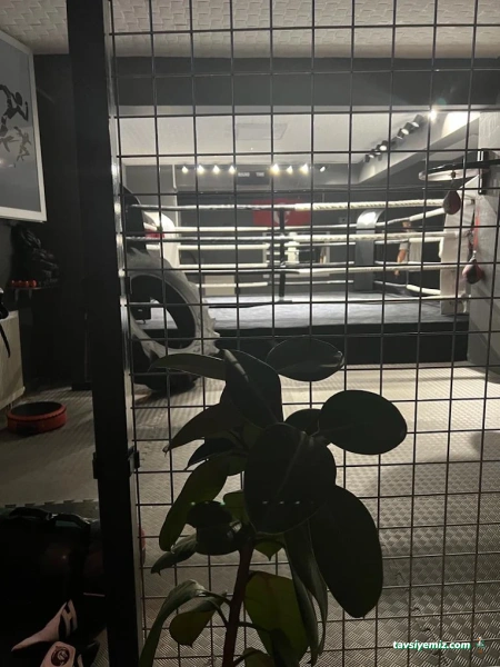 Samsun Dövüş Spor Kulübü