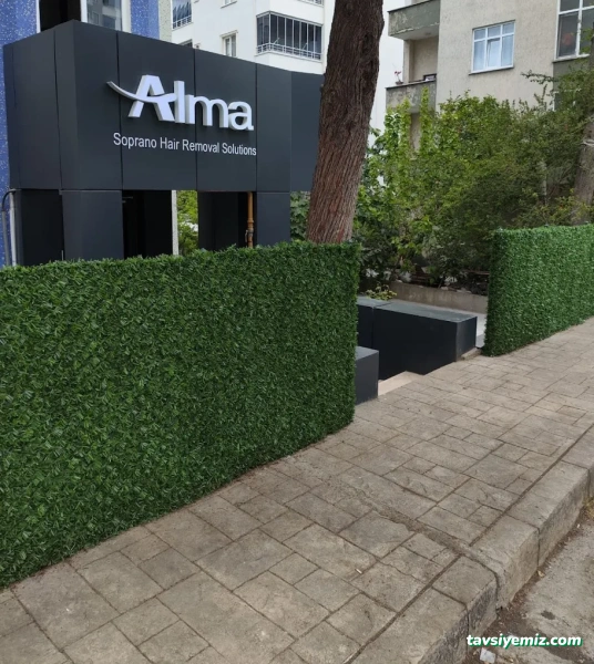 Samsun Lazer Epilasyon Lassarium