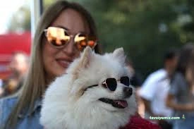 Samsun Pet Fest 2024 - Karadeniz 4.Evcil Hayvan Ve Doğa Festivali