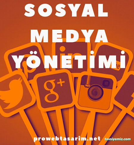 Samsun Pro Web Tasarım