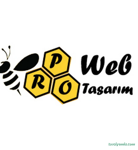 Samsun Pro Web Tasarım