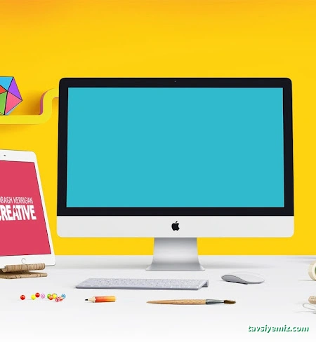 Samsun Pro Web Tasarım