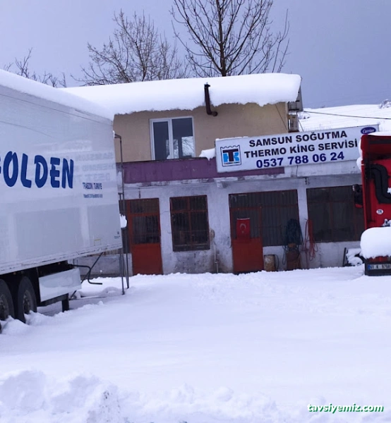 Samsun Soğutma Thermo King Carrier Klima Servisi
