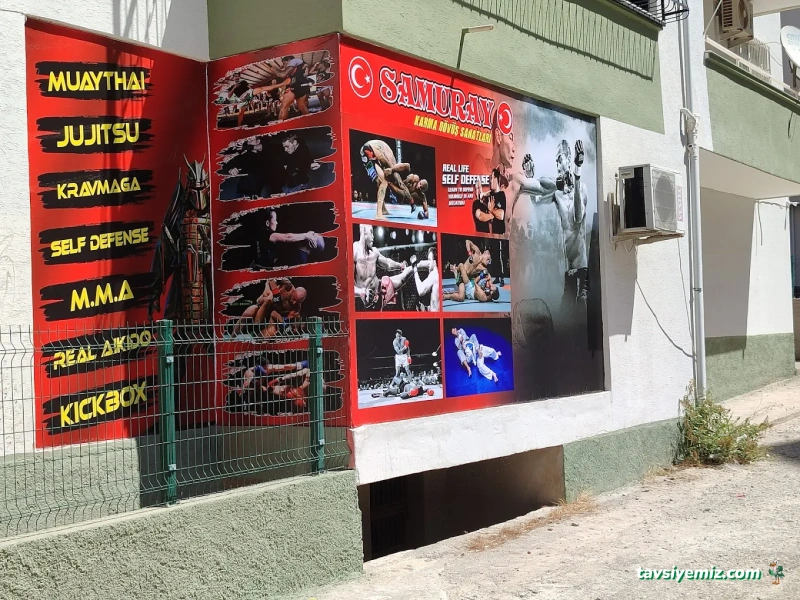 Samuray Karma Dövüş Sanatları