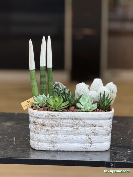 Şanlıurfa Çiçekçi