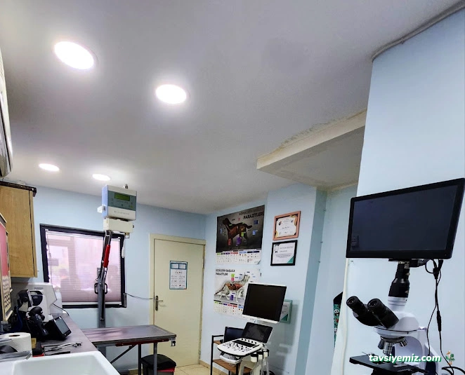 Sante Veteriner Kliniği