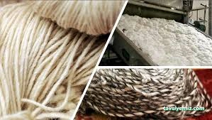 Sarıcalar Halı Yün Ve Kamgarn İplik