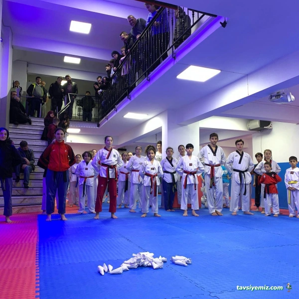 Savaş Sanatları Akademisi