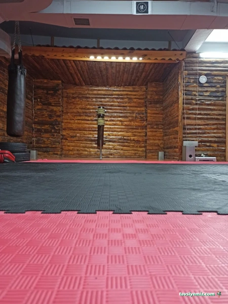 Savaş Sanatları Akademisi Spor Kulübü