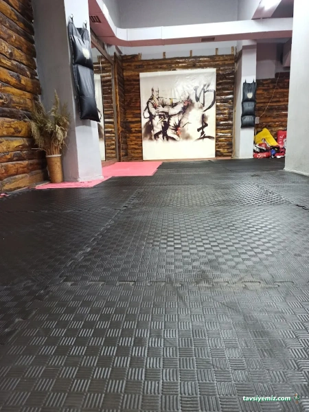 Savaş Sanatları Akademisi Spor Kulübü