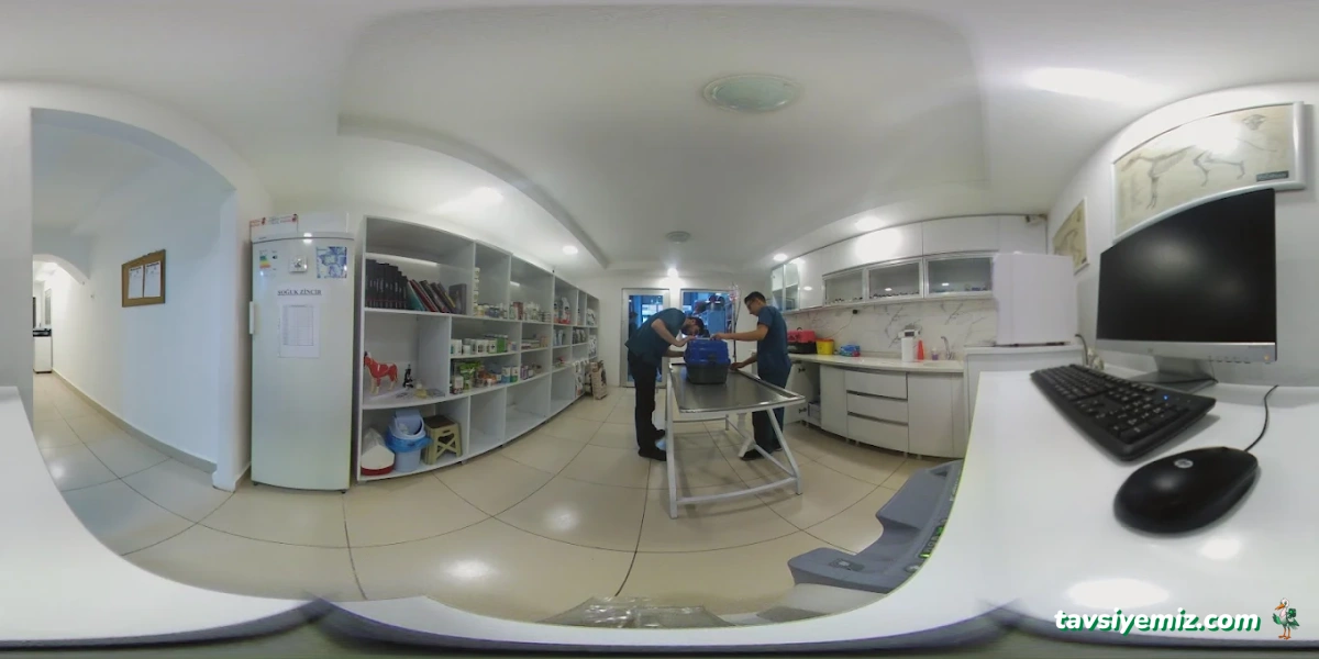 Sayın Veteriner Kliniği