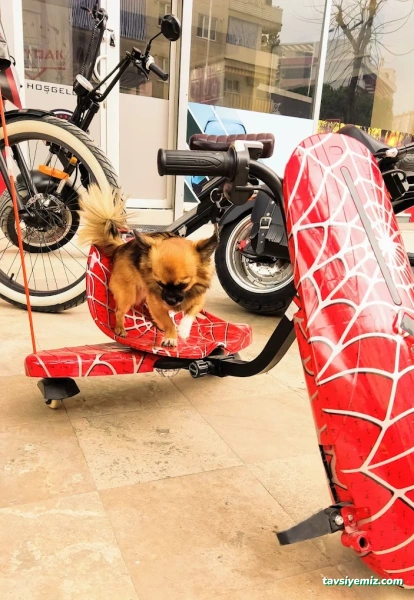 Scooter Store Scooter Yetkili Bayi&Servis Merkezi