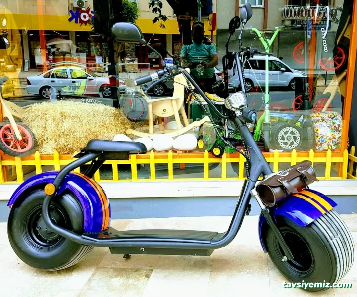 Scooter Store Scooter Yetkili Bayi&Servis Merkezi